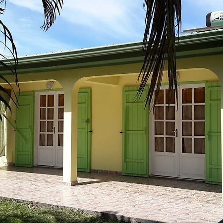 La Villa Des Palmes Bois d'Olive Eksteriør billede